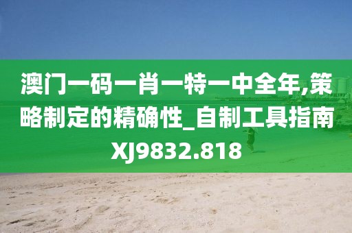 澳门一码一肖一特一中全年,策略制定的精确性_自制工具指南XJ9832.818