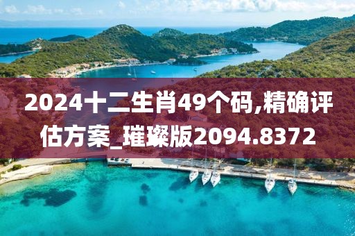 2024十二生肖49个码,精确评估方案_璀璨版2094.8372
