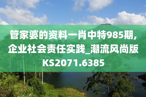 管家婆的资料一肖中特985期,企业社会责任实践_潮流风尚版KS2071.6385