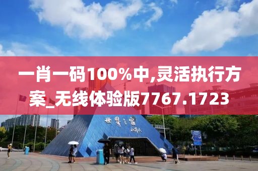 一肖一码100%中,灵活执行方案_无线体验版7767.1723