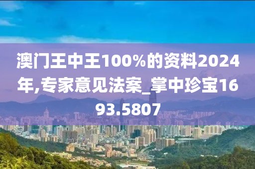 澳门王中王100%的资料2024年,专家意见法案_掌中珍宝1693.5807