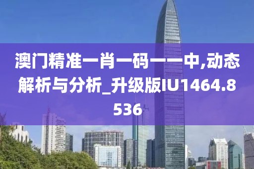 澳门精准一肖一码一一中,动态解析与分析_升级版IU1464.8536