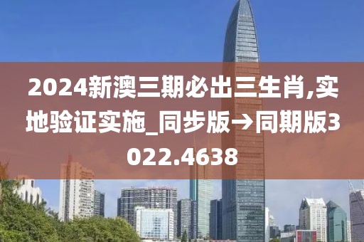 2024新澳三期必出三生肖,实地验证实施_同步版→同期版3022.4638