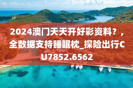 2024澳门天天开好彩资料？,全数据支持睡眠枕_探险出行CU7852.6562
