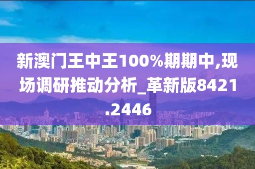 新澳门王中王100%期期中,现场调研推动分析_革新版8421.2446