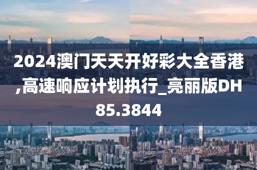2024澳门天天开好彩大全香港,高速响应计划执行_亮丽版DH85.3844