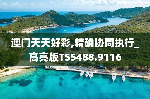 澳门天天好彩,精确协同执行_高亮版TS5488.9116