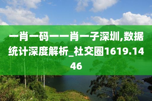 一肖一码一一肖一子深圳,数据统计深度解析_社交圈1619.1446