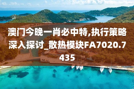 澳门今晚一肖必中特,执行策略深入探讨_散热模块FA7020.7435