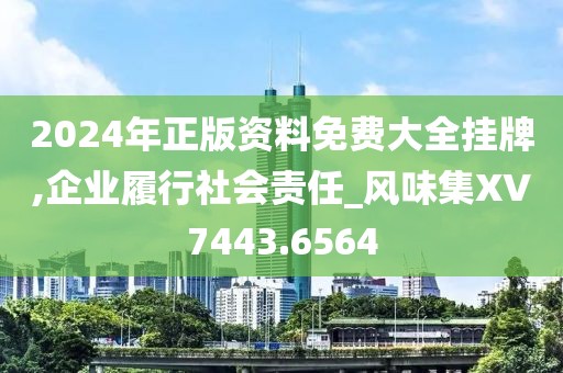 2024年正版资料免费大全挂牌,企业履行社会责任_风味集XV7443.6564