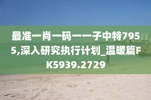 最准一肖一码一一子中特7955,深入研究执行计划_温暖篇FK5939.2729
