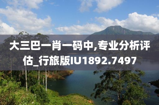 大三巴一肖一码中,专业分析评估_行旅版IU1892.7497