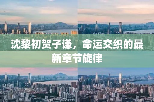 沈黎初贺子谦，命运交织的最新章节旋律