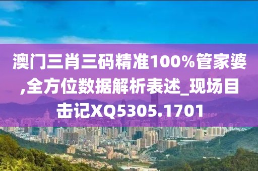 澳门三肖三码精准100%管家婆,全方位数据解析表述_现场目击记XQ5305.1701