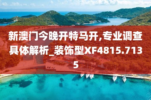 新澳门今晚开特马开,专业调查具体解析_装饰型XF4815.7135