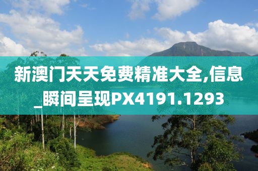 新澳门天天免费精准大全,信息_瞬间呈现PX4191.1293