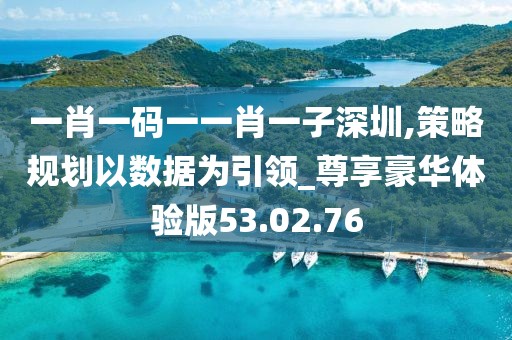 一肖一码一一肖一子深圳,策略规划以数据为引领_尊享豪华体验版53.02.76
