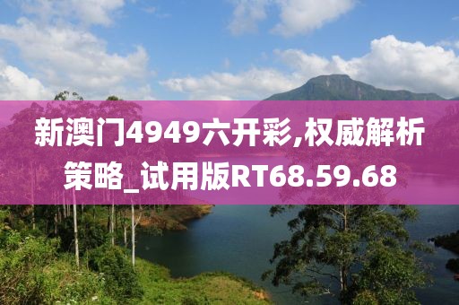 新澳门4949六开彩,权威解析策略_试用版RT68.59.68