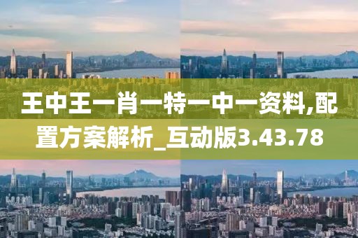王中王一肖一特一中一资料,配置方案解析_互动版3.43.78