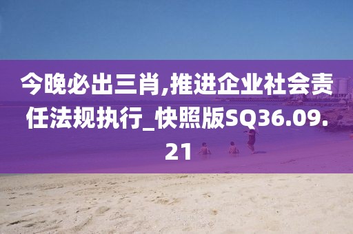 今晚必出三肖,推进企业社会责任法规执行_快照版SQ36.09.21