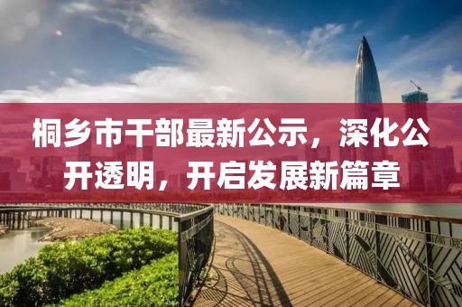 桐乡市干部最新公示，深化公开透明，开启发展新篇章