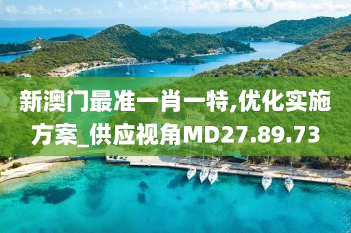 新澳门最准一肖一特,优化实施方案_供应视角MD27.89.73