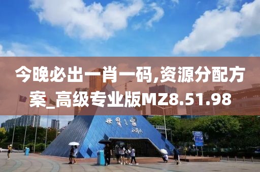 今晚必出一肖一码,资源分配方案_高级专业版MZ8.51.98