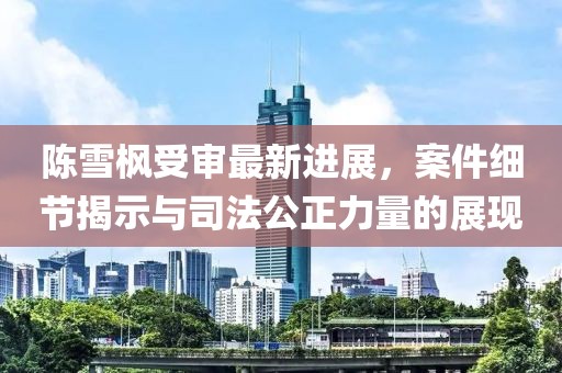 陈雪枫受审最新进展，案件细节揭示与司法公正力量的展现