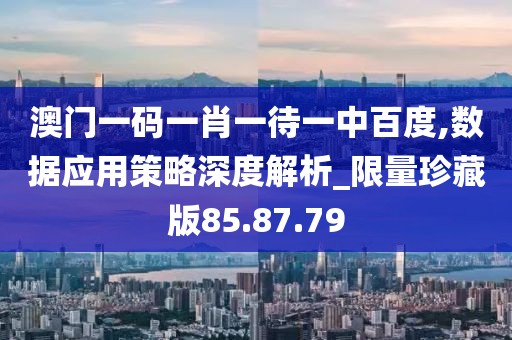 澳门一码一肖一待一中百度,数据应用策略深度解析_限量珍藏版85.87.79