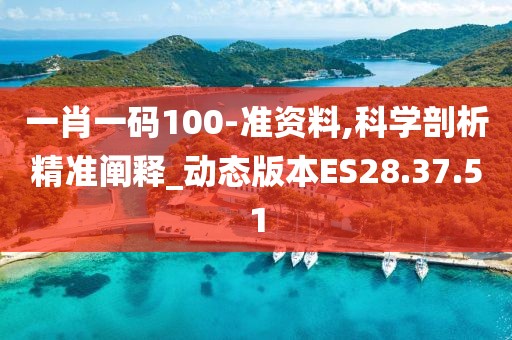一肖一码100-准资料,科学剖析精准阐释_动态版本ES28.37.51