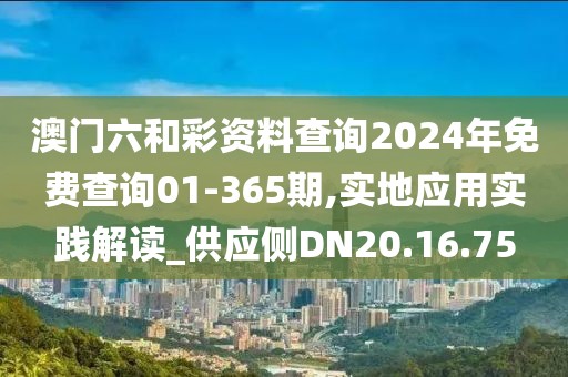 澳门六和彩资料查询2024年免费查询01-365期,实地应用实践解读_供应侧DN20.16.75