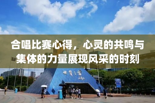 合唱比赛心得，心灵的共鸣与集体的力量展现风采的时刻