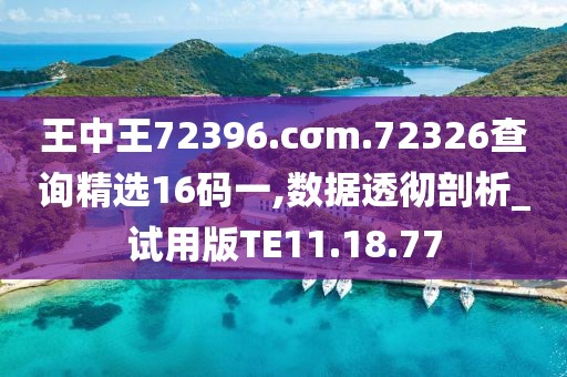 王中王72396.cσm.72326查询精选16码一,数据透彻剖析_试用版TE11.18.77