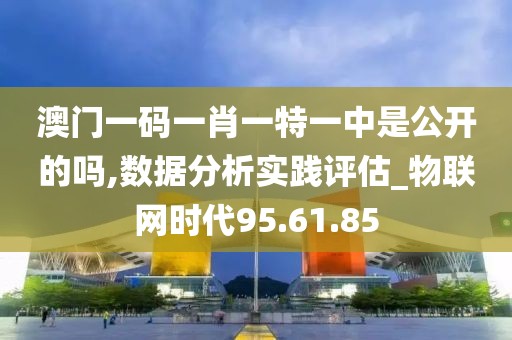 澳门一码一肖一特一中是公开的吗,数据分析实践评估_物联网时代95.61.85