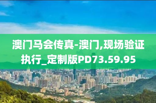 澳门马会传真-澳门,现场验证执行_定制版PD73.59.95