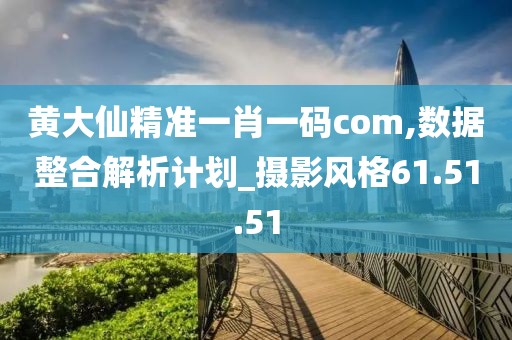 黄大仙精准一肖一码com,数据整合解析计划_摄影风格61.51.51