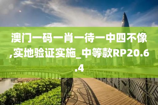 澳门一码一肖一待一中四不像,实地验证实施_中等款RP20.6.4