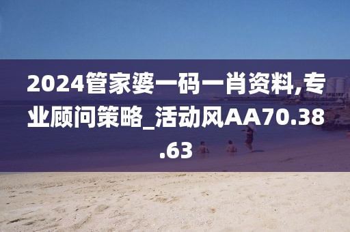 2024管家婆一码一肖资料,专业顾问策略_活动风AA70.38.63
