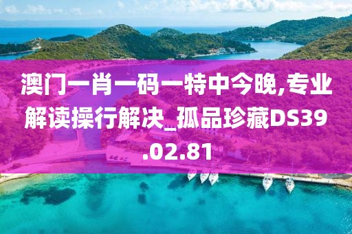 澳门一肖一码一特中今晚,专业解读操行解决_孤品珍藏DS39.02.81