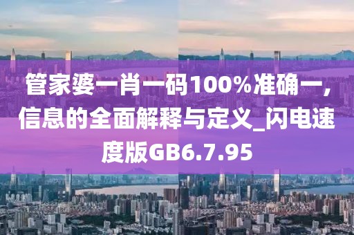 管家婆一肖一码100%准确一,信息的全面解释与定义_闪电速度版GB6.7.95