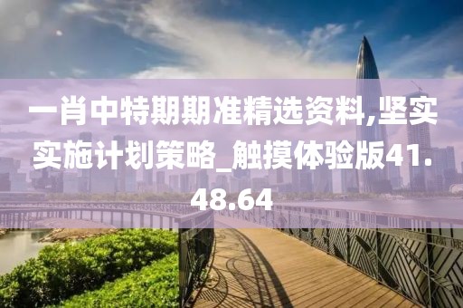 一肖中特期期准精选资料,坚实实施计划策略_触摸体验版41.48.64
