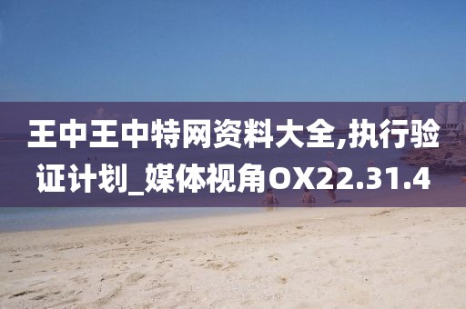 王中王中特网资料大全,执行验证计划_媒体视角OX22.31.4