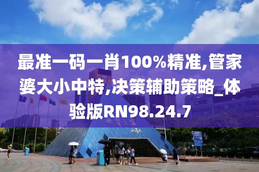 最准一码一肖100%精准,管家婆大小中特,决策辅助策略_体验版RN98.24.7