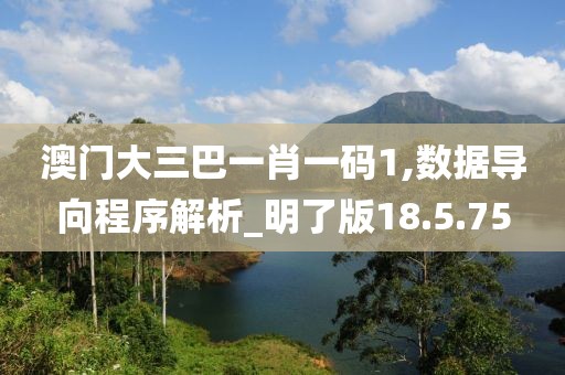 澳门大三巴一肖一码1,数据导向程序解析_明了版18.5.75