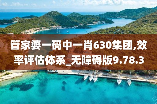 管家婆一码中一肖630集团,效率评估体系_无障碍版9.78.3