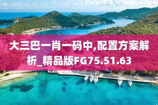 大三巴一肖一码中,配置方案解析_精品版FG75.51.63