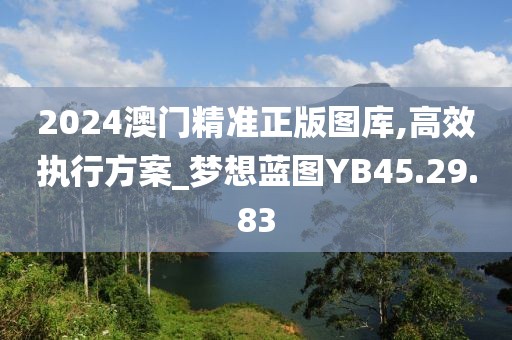 2024澳门精准正版图库,高效执行方案_梦想蓝图YB45.29.83