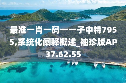 最准一肖一码一一子中特7955,系统化阐释概述_袖珍版AP37.62.55