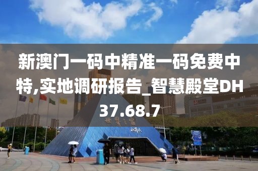 新澳门一码中精准一码免费中特,实地调研报告_智慧殿堂DH37.68.7