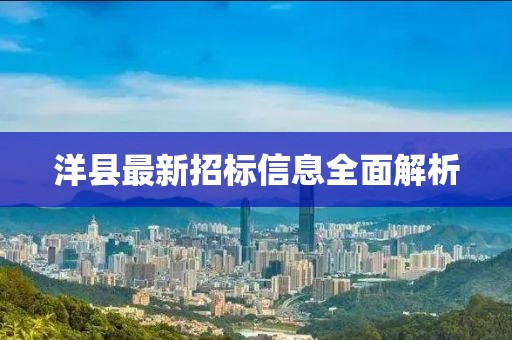 洋县最新招标信息全面解析